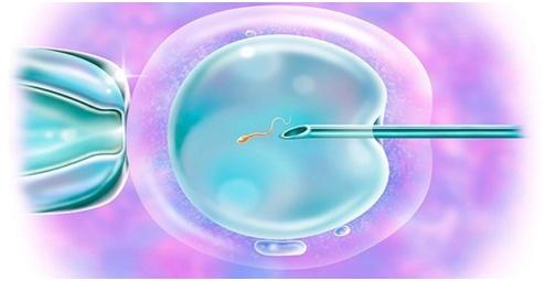 案例